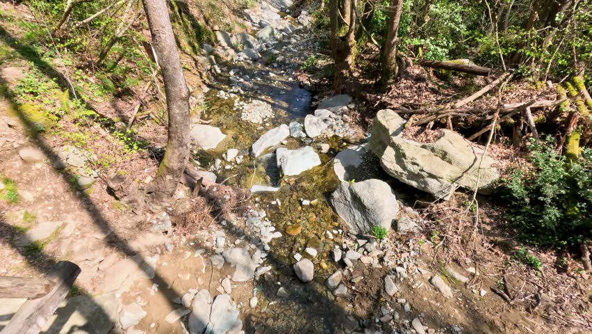 A group walks along a path near a rocky stream. They enjoy the sunlight filtering through the trees. The water flows over smooth stones. People talk and interact while exploring.