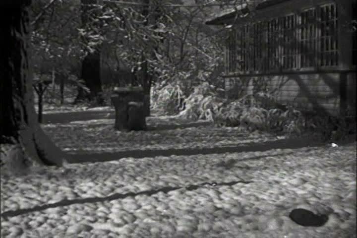 1920s - John Dahlinger, illegitimate son of Henry Ford, at 4 years old.