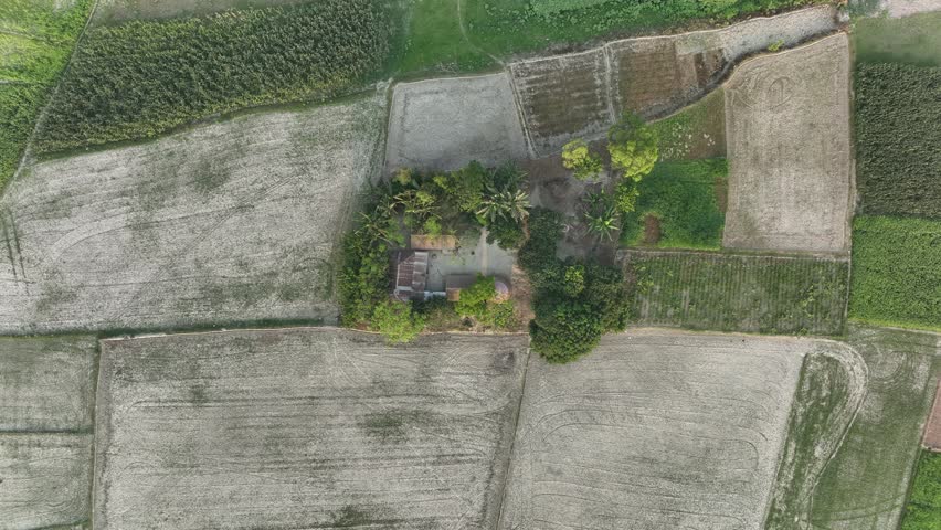 Aerial top down perspective capturing a tranquil rural landscape with a small village house nestled among green trees and surrounded by patchwork fields in various states of cultivation