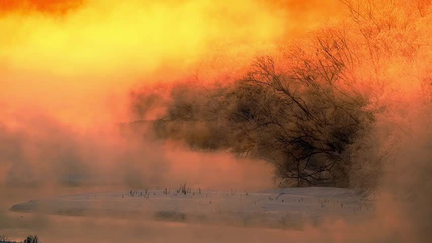 Dramatic sunset with orange sky and tree silhouette.