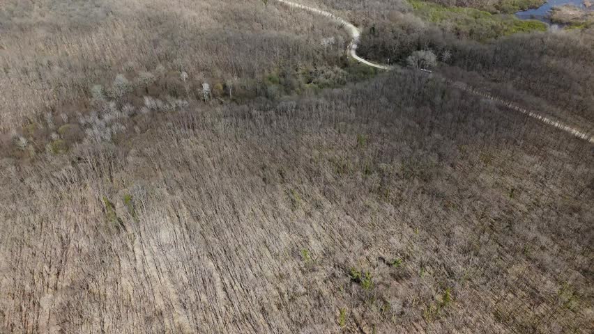 Aerial View of Woodland Pond with a Winding Shore Surrounded by Bare Trees in Spring, Kirklareli, Turkiye