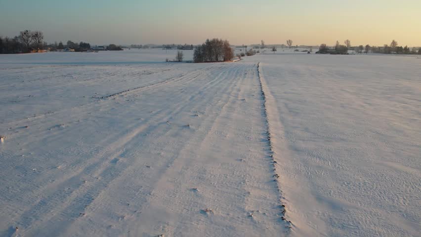 Drone flyover above a snow-dusted farm field showing unique textures and patterns on the ground. A group of leafless trees stands in the middle of a vast, white landscape under a clear winter sky during sunrise.