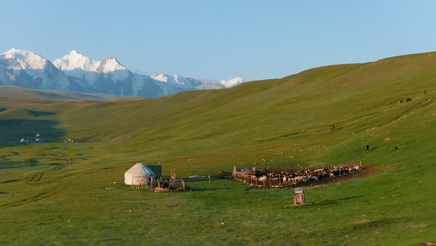 Traditional Yurt With Domestic Farm Animals Near Sary Jaz Valley With Tian Shan Mountain Views In Kyrgyzstan. Aerial Shot