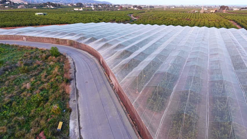 Large agricultural net house covering citrus trees in Spain, surrounded by extensive farmland and orchards stretching to the horizon