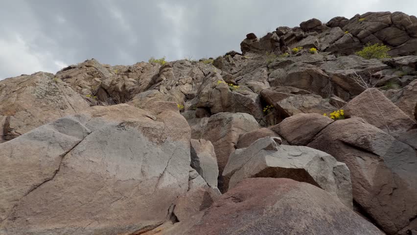 Pile of granite boulders with spring flowers rising up toward a cloudy sky.