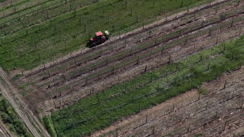 Aerial view of a tractor working in the expansive fields with rows of crops creating a textured pattern, Viana do Castelo, Portugal.