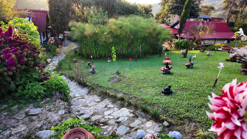 Dolly out reveal of a whimsical backyard featuring stone paths, garden gnomes, and lush papyrus plants during golden hour. Authentic tropical garden