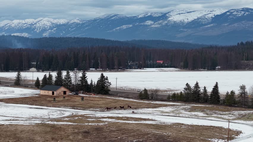 Drone footage of a rustic barn and snowy pasture near Whitefish, Montana, where a herd of bison grazes against a backdrop of evergreens and snow-capped Rocky Mountains.