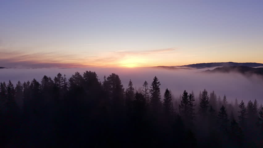 Misty sunrise over a forest with low clouds covering the landscape. Tree silhouettes and soft light create a calm and atmospheric scene in northern Europe.