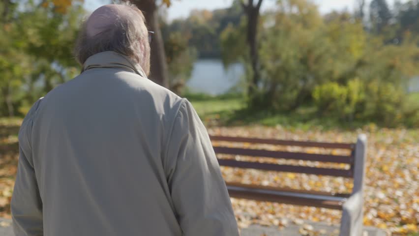 Mature gentleman with glasses sits on a bench, surrounded by autumn colors and enjoying a moment of peace in a calm, scenic park setting.