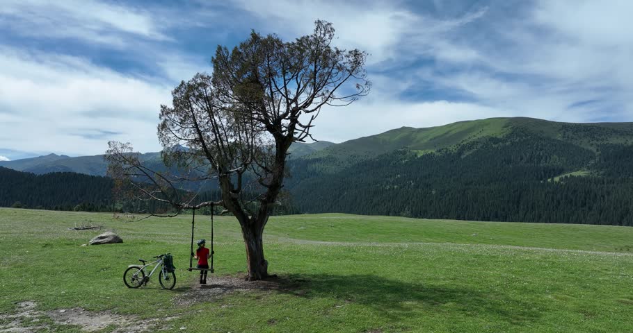 Woman swinging on flowering grassland mountain top