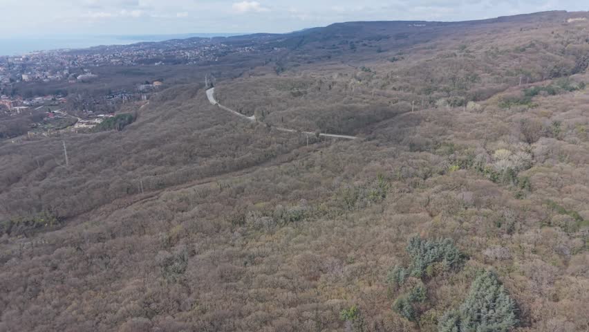 Winding countryside road viewed from above through forest with trees and peaceful nature