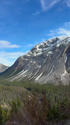 Jasper National Park landscape with Icefields Parkway road