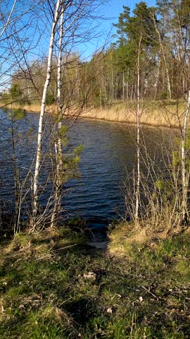 Calm lake water surface with dry golden reeds and grass on shoreline
