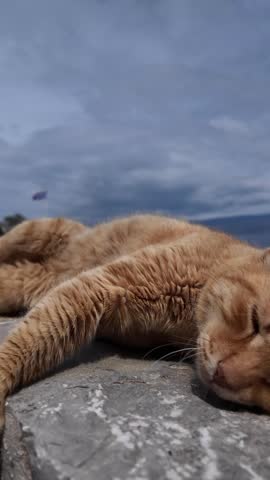 Hydra island, Greece - April 12th, 2026 -  footage of Hydra town cats, traditional architecture, mounrains, churches, monasteries, embankment, yacht, Aegean sea and landscapes of Argosaronic gulf