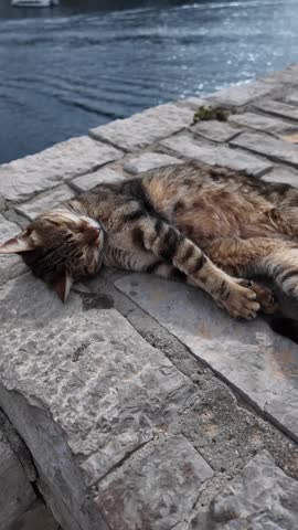 Hydra island, Greece - April 12th, 2026 -  footage of Hydra town cats, traditional architecture, mounrains, churches, monasteries, embankment, yacht, Aegean sea and landscapes of Argosaronic gulf