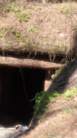 Soldiers dug a trench and a defensive trench in the forest. A battlefield during the war in Europe. Earth and wood protection for an army soldier. A shelter and cave during a political crisis