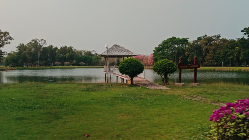 Aerial perspective begins low tracking right across grassy park moving past bright purple bushes flowers revealing white wooden gazebo sitting over calm lake water beneath hazy overcast sky