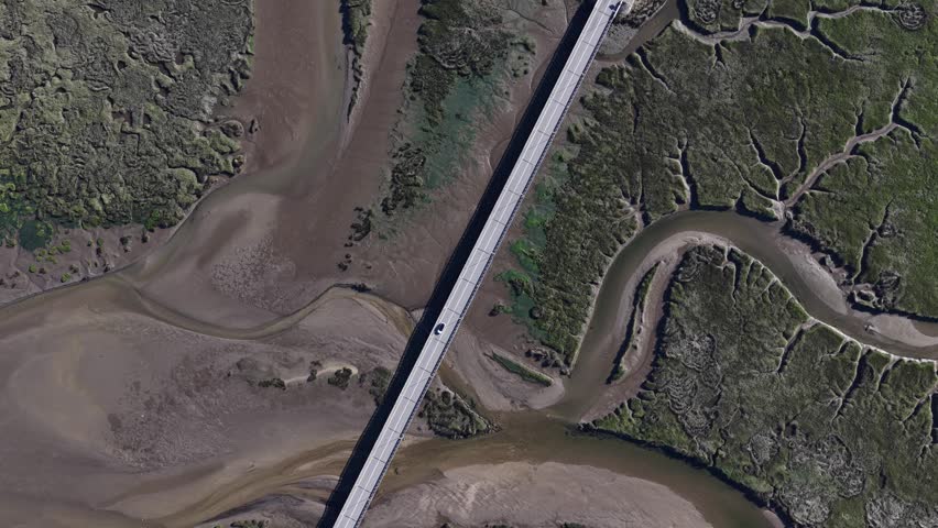 Aerial view of a straight bridge cutting across a river with contrasting green and brown textures and a single car crossing, Viana do Castelo, Portugal.