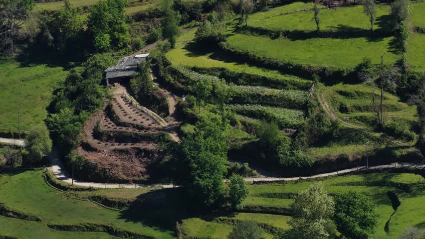 Aerial view of lush green terraced fields, contrasted by earthy tones of soil and a quaint house nestled amidst the landscape, Braga, Portugal.
