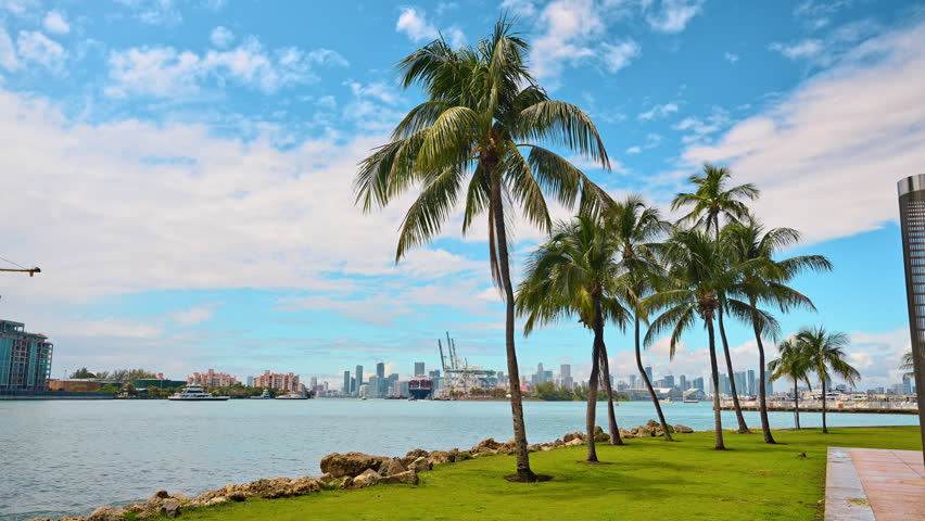 Tropical coastline with palm trees and distant skyline. Landscape of South Pointe Park with palm trees on green grass and the Miami port and buildings across the blue water.
