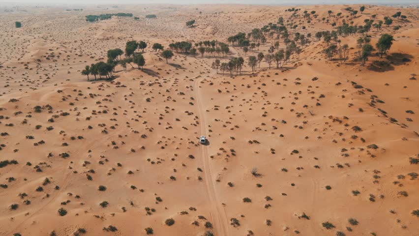 An aerial view of sand dunes in the Arabian Desert, UAE.