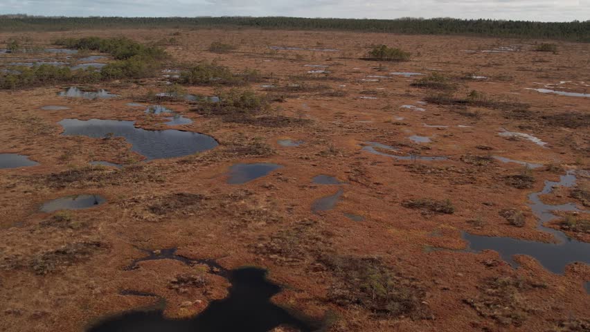 Aerial view of a marshland with scattered water pools, dry vegetation, and patches of forest, showing a diverse wetland ecosystem under a cloudy sky.