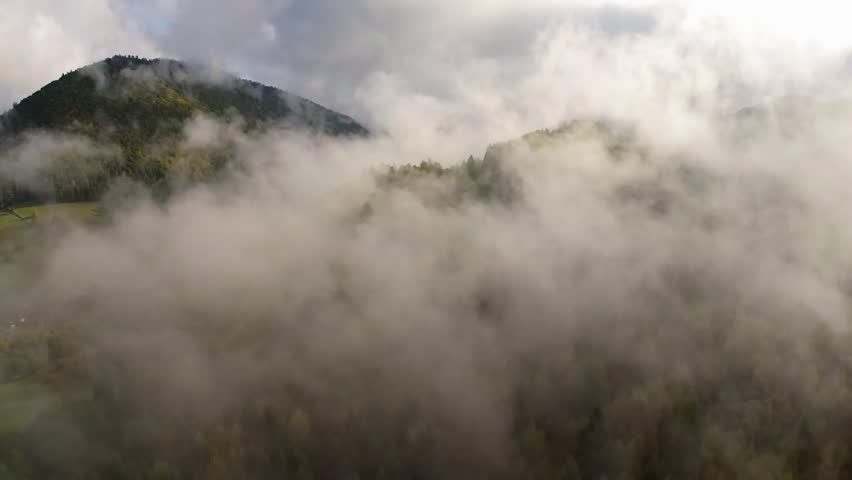 Misty mountain forest aerial view. Foggy morning in the mountains clouds over green hills.