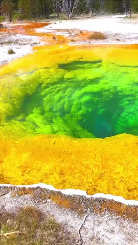 Vibrant Thermal Morning Glory Pool in Yellowstone National Park