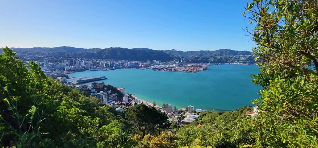 Elevated Harbour Panorama with City Waterfront and Forested Hills. An elevated view of Wellington, New Zealand, showing lush green vegetation in the foreground and the city’s waterfront buildings stretching along the harbour. Calm blue water fills the bay, framed by forested hills under a clear sky. The scene highlights Wellington’s blend of natural landscape and coastal urban development. Suitable for travel journalism, city‑harbour features and New Zealand‑focused editorial content.