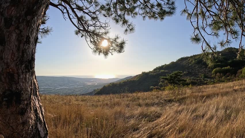View from the top of the mountain to the city and the sea. The sun is reflected in the water. Slow camera movement through pine branches. Slow motion, wide shot.
