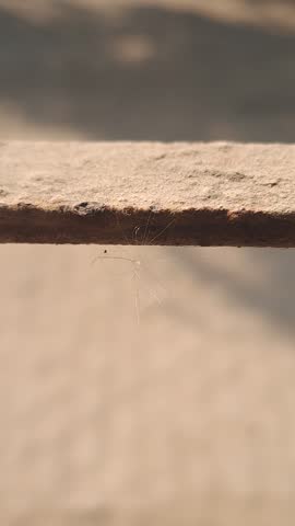Macro closeup of a thin rusted metal edge with a delicate cluster of translucent filaments suspended from it. The warm beige blurred background emphasizes texture, light, and fragility, creating a striking composition that contrasts industrial decay with natural detail. Perfect for themes of resilience, imperfection, abandonment, and conceptual photography.