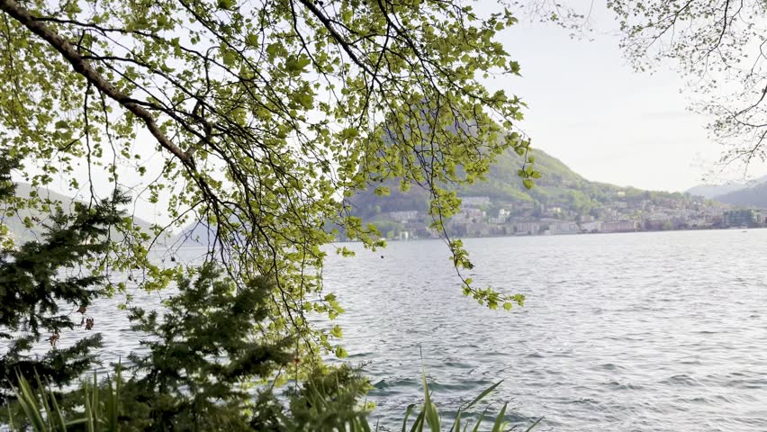 Lake Lugano View Through Lush Park Vegetation with Monte San Salvatore Mountain, Scenic Nature Landscape for Travel and Relaxing Background