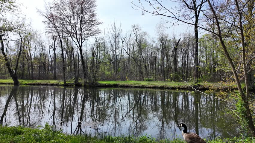 Delaware and Raritan Canal State Park, USA, NJ. 2026.04.15