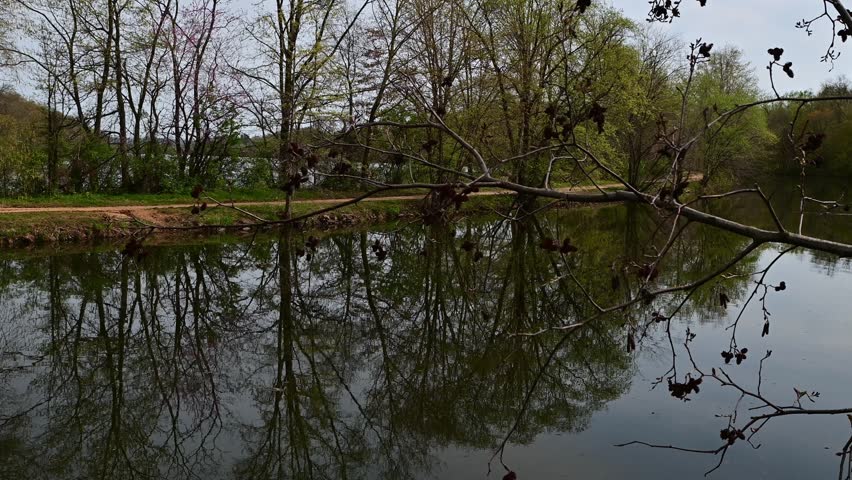 Delaware and Raritan Canal State Park, USA, NJ. 2026.04.15