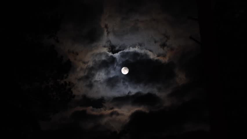 Full Moon and Cloud Motion Across the Sky - Forest Timelapse at Night. Moonlit Night Time-lapse. Clouds Moving Over a Forest with Full Moon. Time Lapse