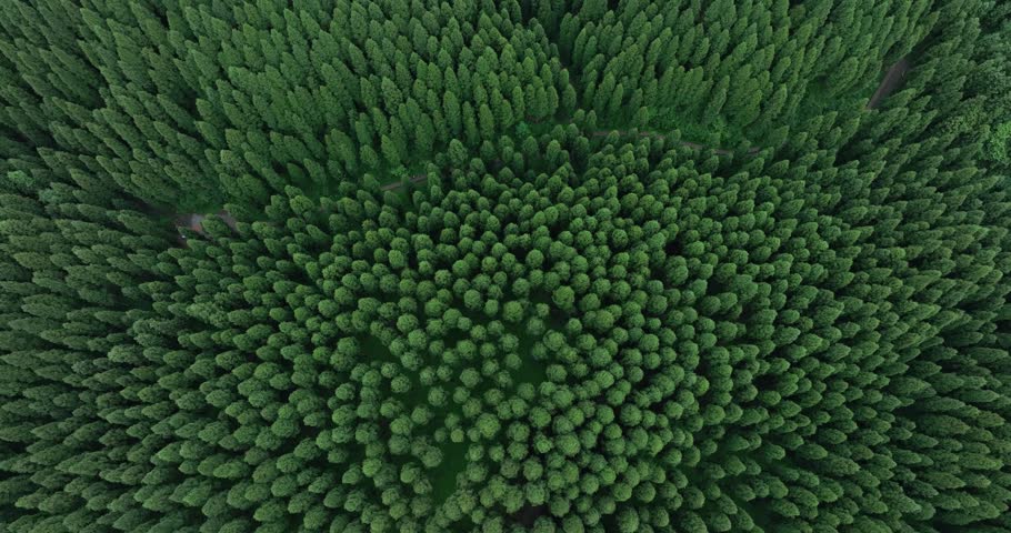 Aerial footage of beautiful forest mountain landscape