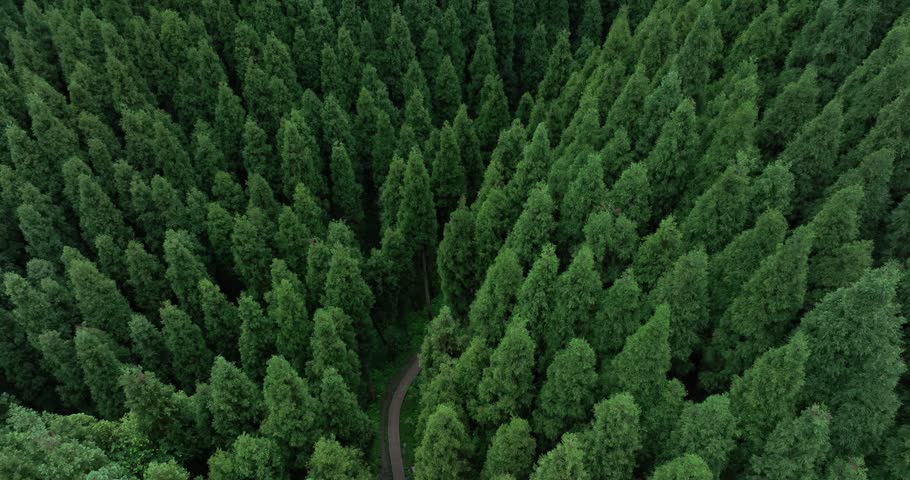 Aerial footage of beautiful forest mountain landscape