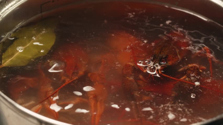 Boiled European crayfish Astacus astacus river seafood freshwater cooked crustacean, noble crayfish, or broad-fingered crayfish, traditional food source.