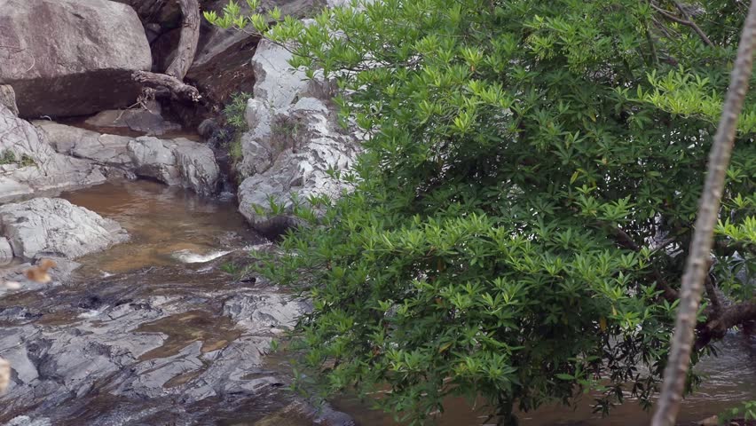 Waterfall in the forest national park with rocks 