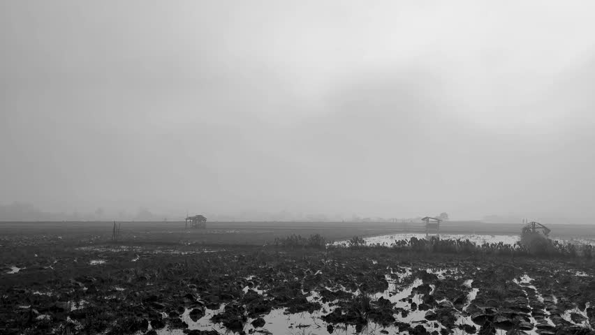 Black and White Misty Wetland Landscape with Soft Sunrise Light