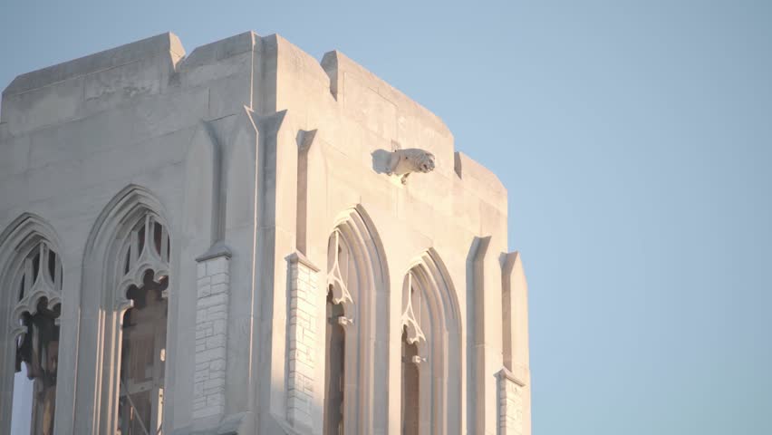 Close-Up of Gothic University Tower with Stone Gargoyle Detail