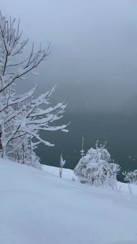 Winter landscape snow-covered trees and ground next to a body of water during a snowfall