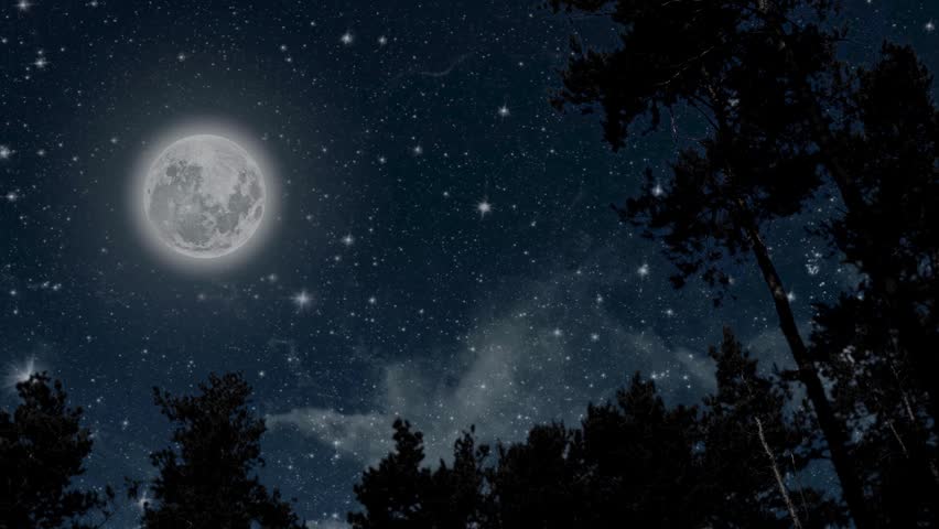 Stunning full moon shines brightly against a backdrop of twinkling stars and wispy clouds, casting ethereal light over pine trees in this tranquil nighttime forest scene.