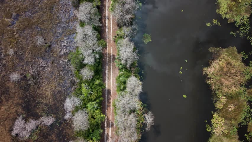 Top down drone shot of walking path at Grassy Waters Preserve in Florida.