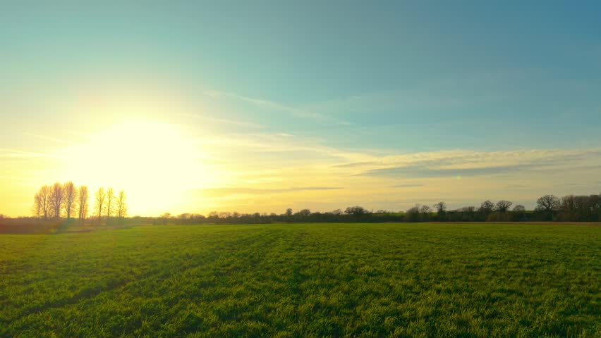 Evening sunlight over expansive green pasture meadow in rural countryside. Fodder grass field stretching across agricultural farmland for livestock feeding and hay harvest. Agribusiness landscape with