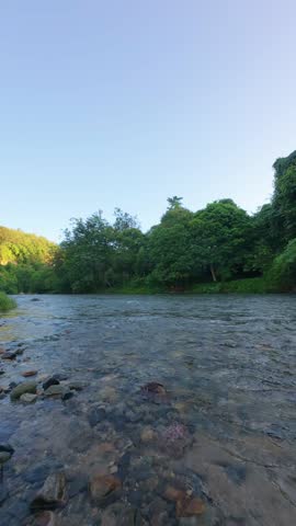 River Flowing Through Lush Green Forest