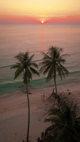 Witness the serene beauty of Koh Kood as the sun sets over the tranquil waters. Palm trees frame the horizon, creating a perfect escape for travelers seeking relaxation and natural wonders of Thailand