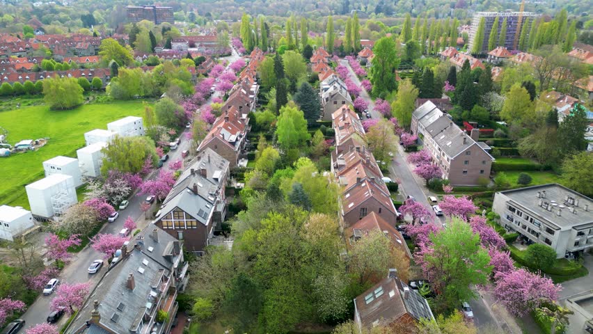 Aerial view of houses with orange roofs nestled among vibrant green trees and pink blossoms, creating a colorful cityscape, Watermael-Boitsfort, Brussels, Belgium.