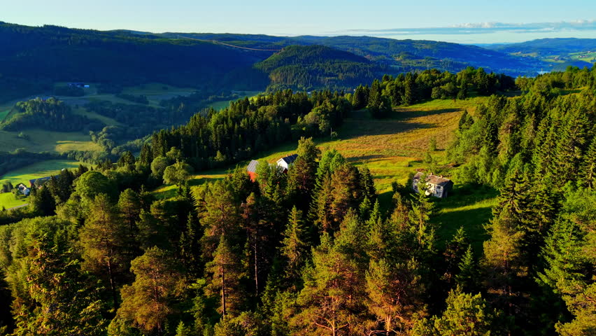 Aerial view of forest hills with a cabin surrounded by trees and green landscape in warm sunlight. Scenic countryside in northern Europe.